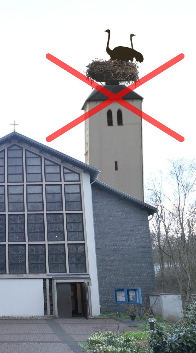 Kein Straußenpaar (c) M. Kerk