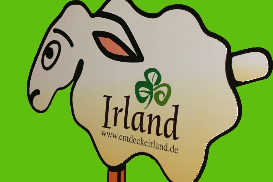 Irischer Abend 2023 (c) D. Dietz