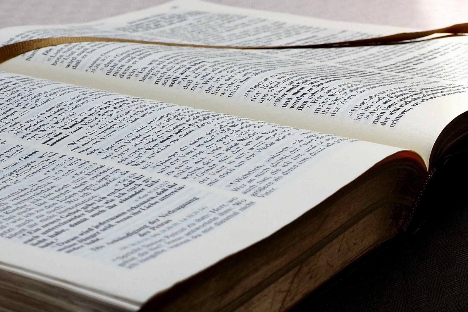 Bibel (c) Gabi_Fleischmann_pfarrbriefservice