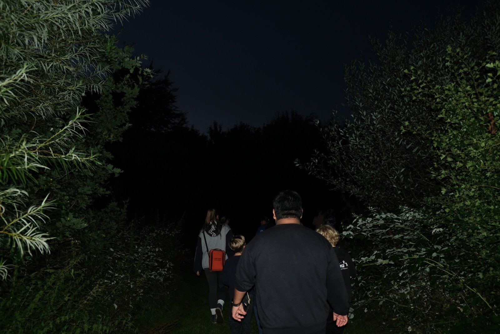 DSCF2681